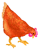 Hen Gif